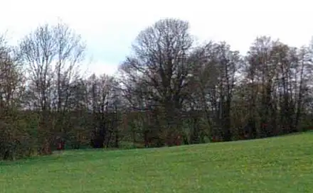 Dražba louky 2 075 m², Melč