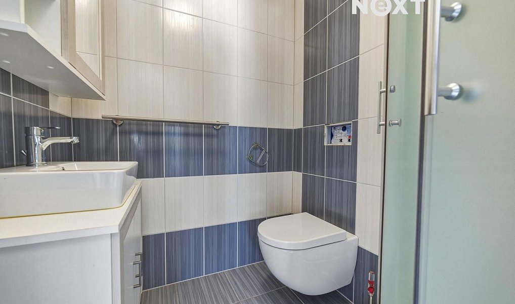 Prodej domu 227 m² s pozemkem 805 m², Dolní Branná – náhled fotky 14