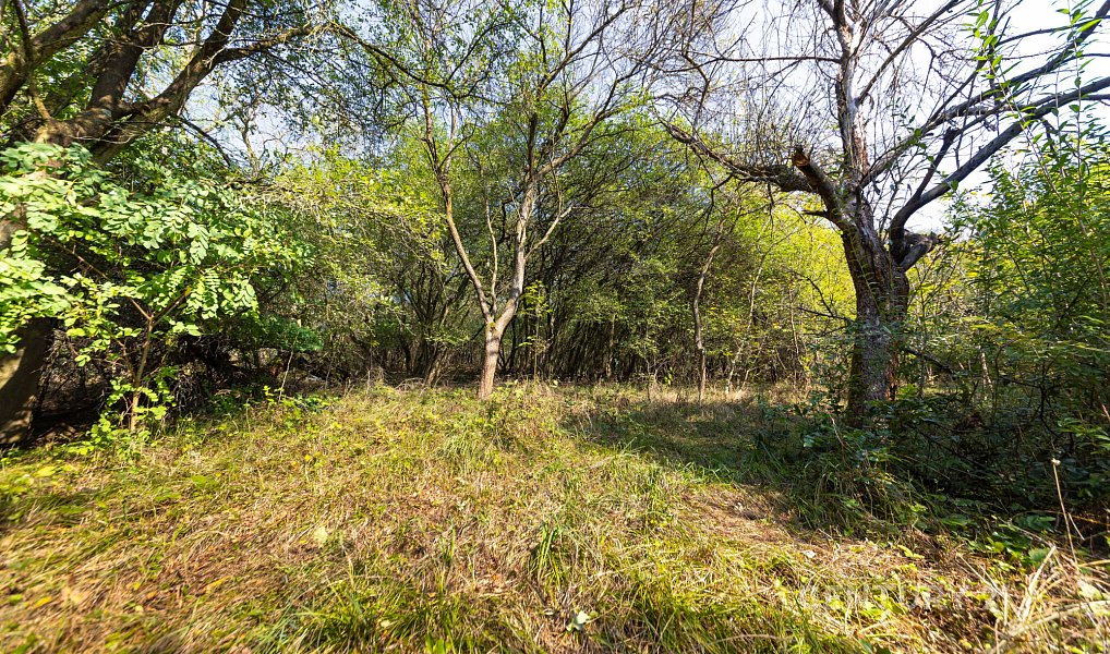 Prodej stavebního pozemku 4 736 m², Kuřim – náhled fotky 3