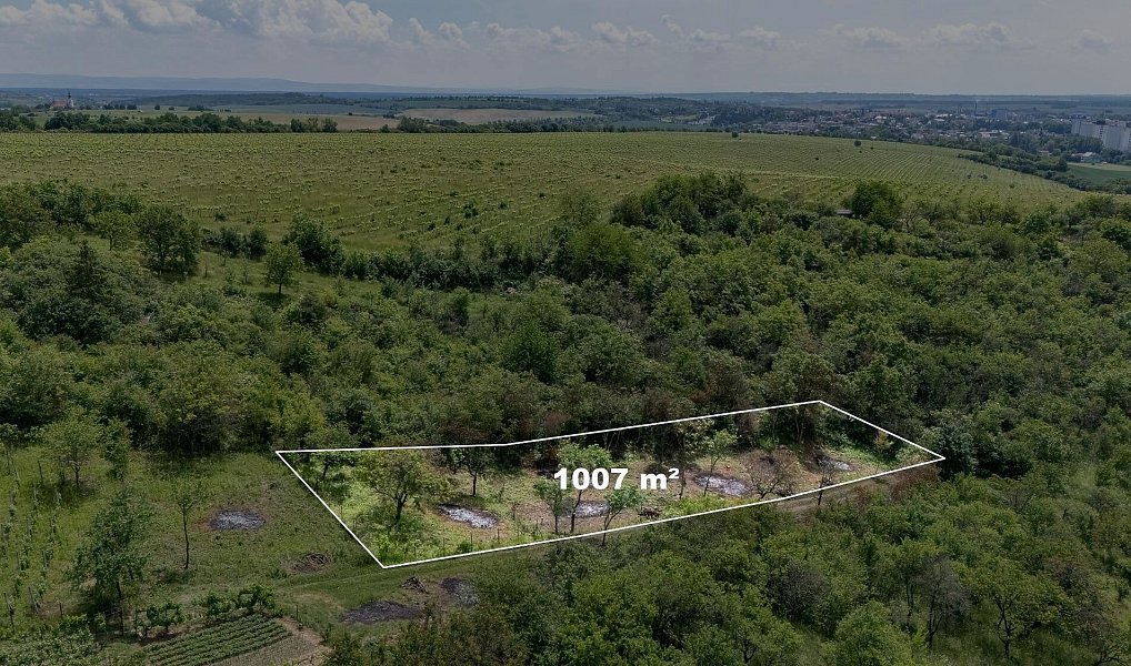 Prodej zahrady 1 007 m², Kyjov – náhled fotky 2