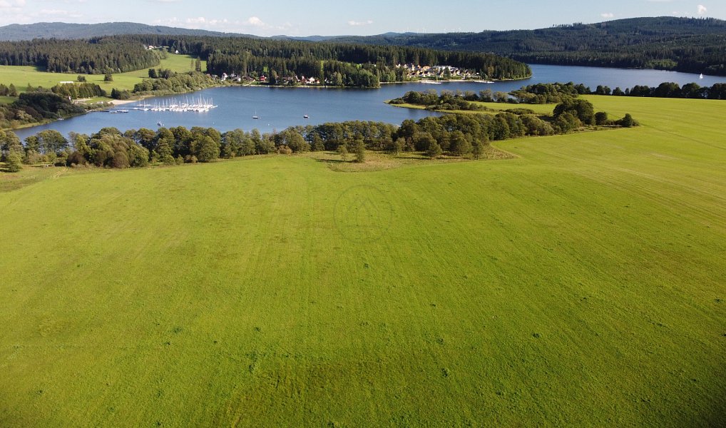 Prodej louky 17 984 m², Frymburk – náhled fotky 2
