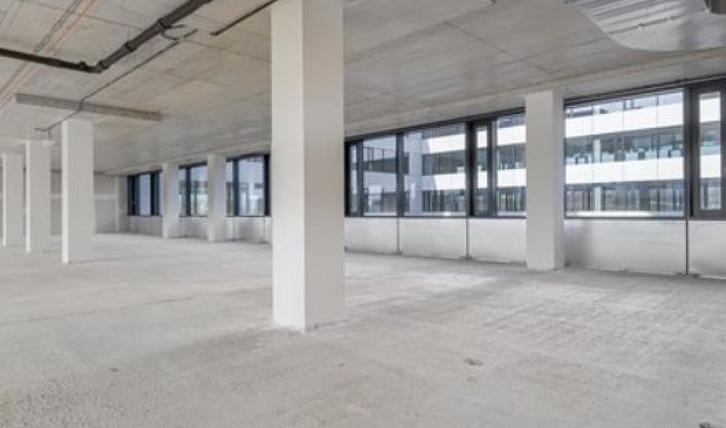 Pronájem kanceláře 500 m², Praha – náhled fotky 4