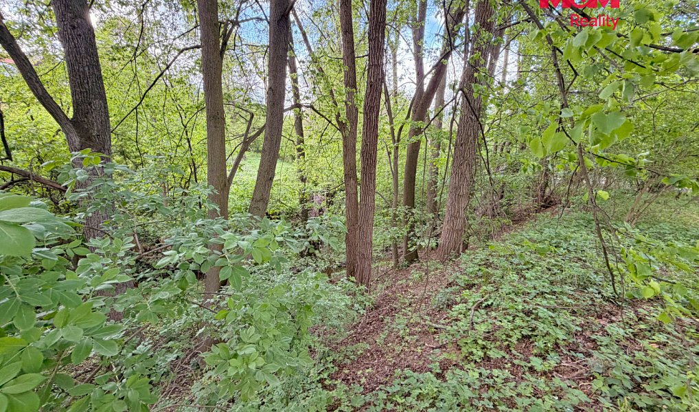 Prodej stavebního pozemku 2 790 m², Milešov – náhled fotky 11