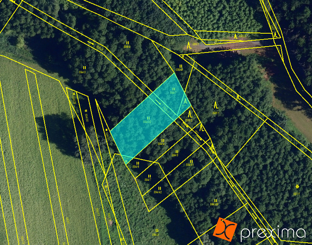 Prodej lesa 158 m²