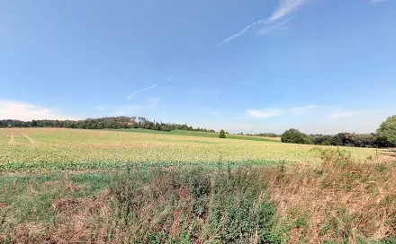 Prodej pole 16 964 m², Oslavička, okres Žďár nad Sázavou