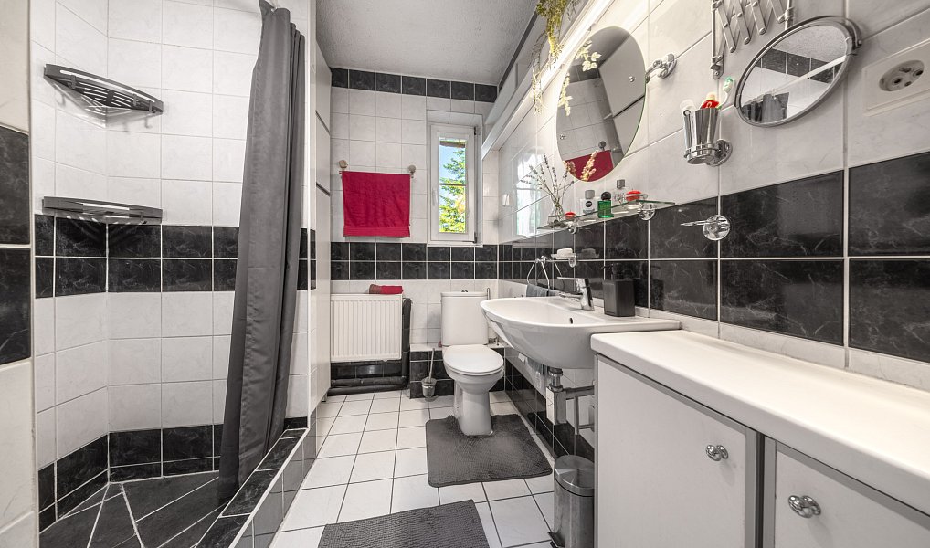 Prodej domu 280 m² s pozemkem 939 m², Světice – náhled fotky 8