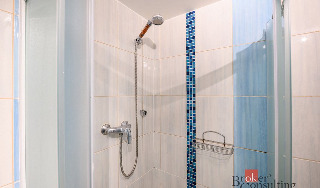 Prodej bytu 1+1 39 m², Plzeň – náhled fotky 11