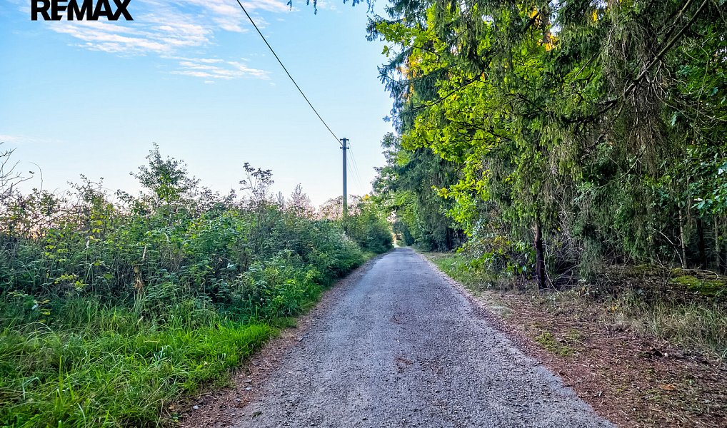 Prodej stavebního pozemku 1 262 m², Albrechtice nad Vltavou – náhled fotky 6