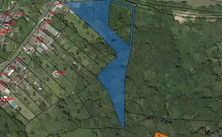 Prodej lesa 29 m², Městečko Trnávka, okres Svitavy