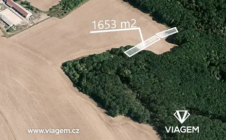 Ostatní