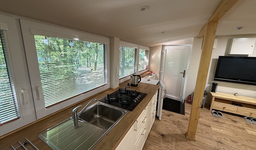 Prodej chaty/chalupy 33 m² s pozemkem 33 m², Brno – náhled fotky 40