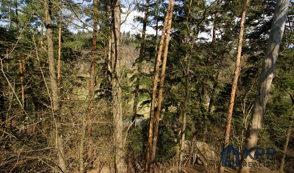 Prodej chaty/chalupy 39 m² s pozemkem 37 m², Doudleby – náhled fotky 22