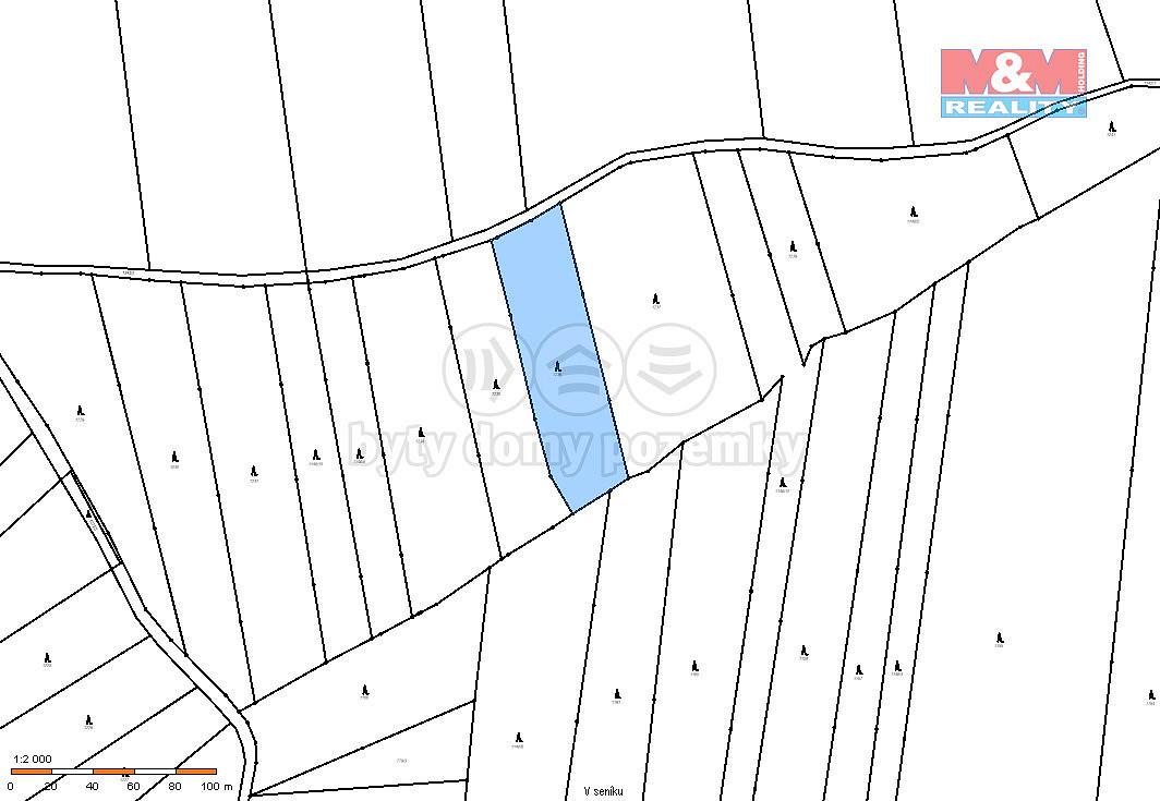 Prodej lesa 5 033 m² – fotografie 3