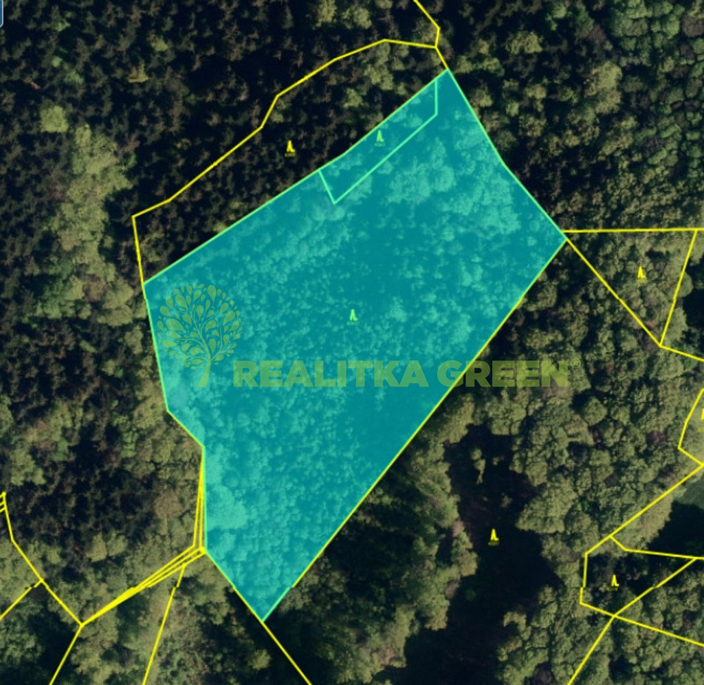 Prodej lesa 22 655 m²