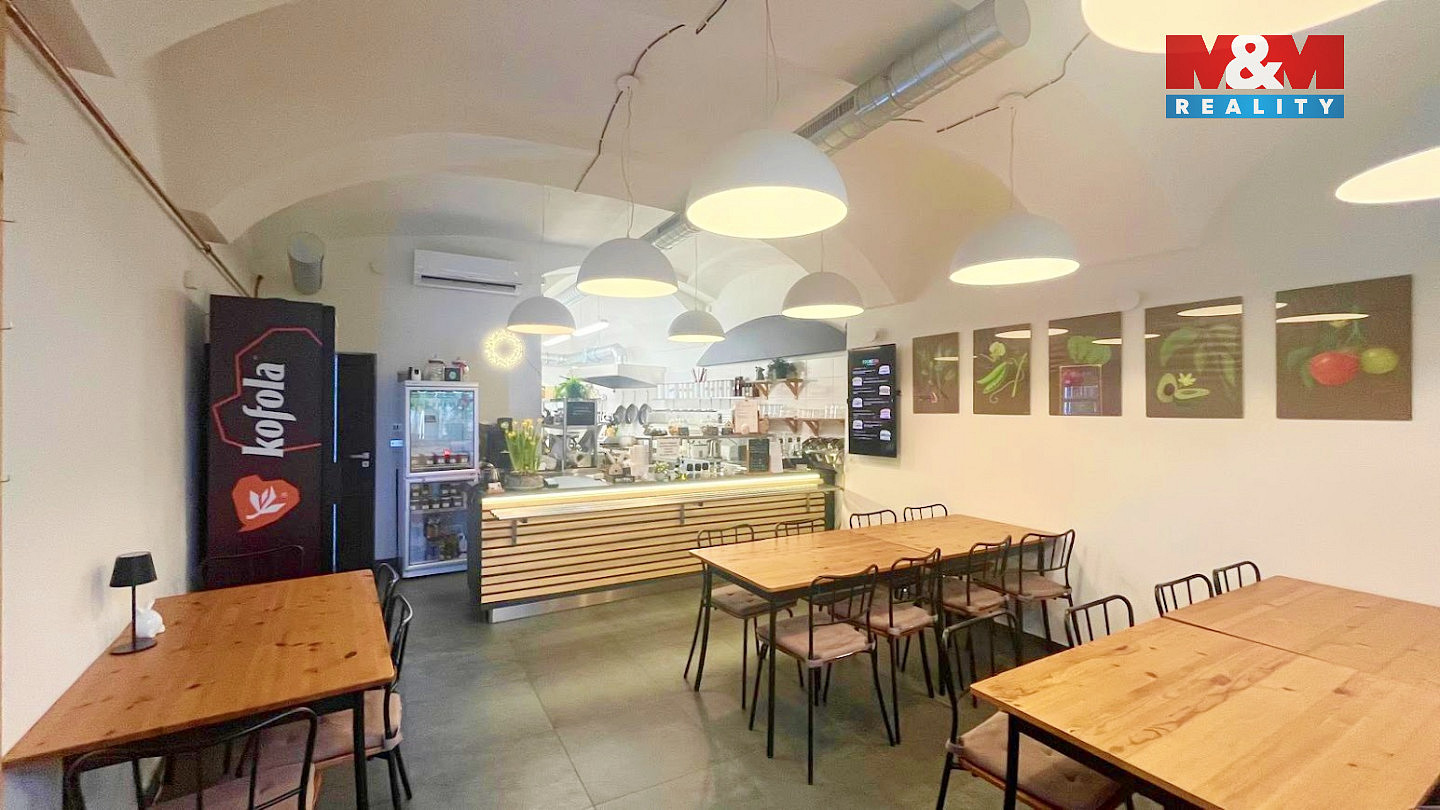 Pronájem obchodních prostor 45 m² – pohled 6