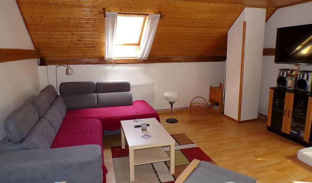 Prodej domu 205 m² s pozemkem 6 330 m², Čestín – náhled fotky 9