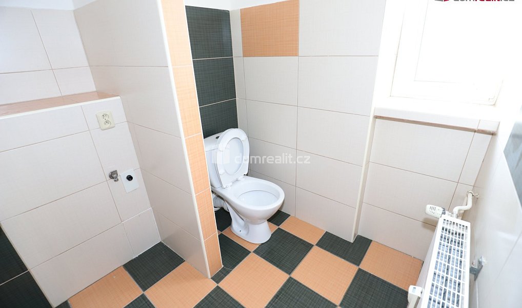 Pronájem bytu 2+1 65 m², Ostrov – náhled fotky 12