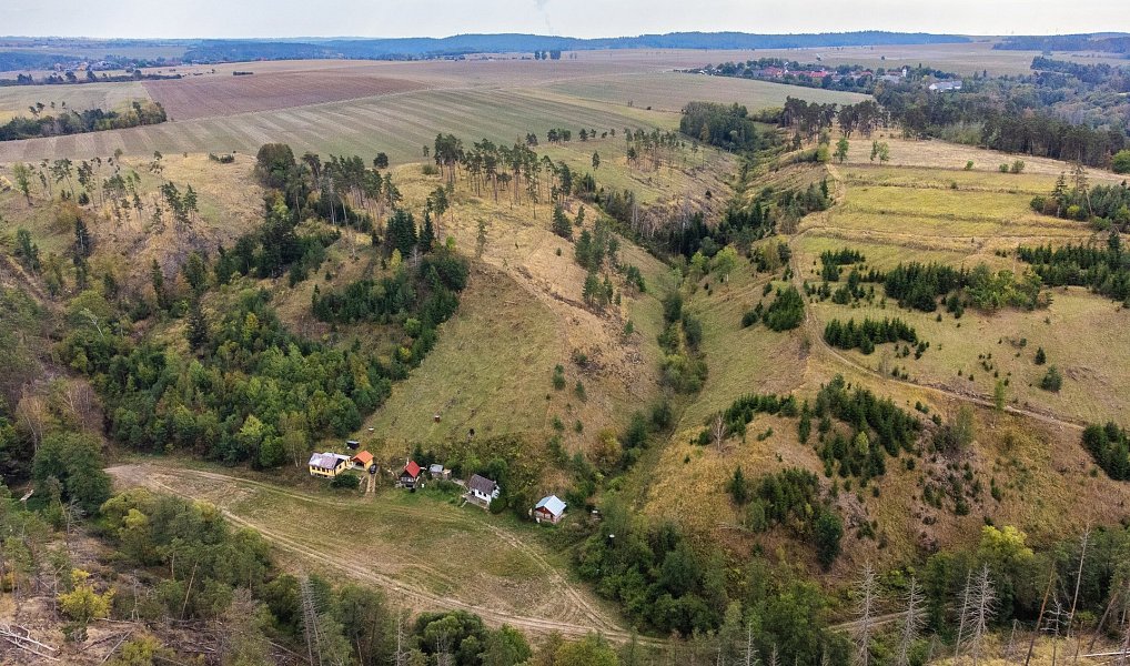 Prodej lesa 15 246 m², Vladislav – náhled fotky 15