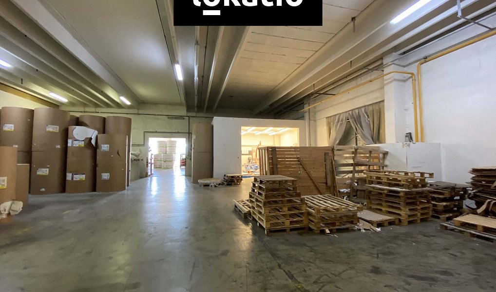 Pronájem skladovacích prostor 600 m², Zábřeh – náhled fotky 5