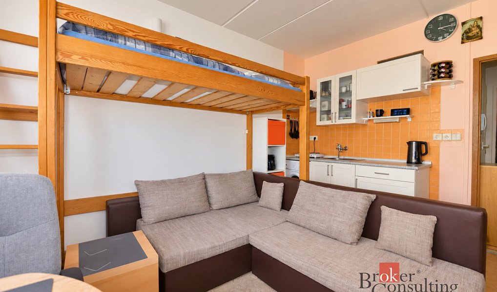 Pronájem bytu 1+kk 20 m², Plzeň – náhled fotky 4