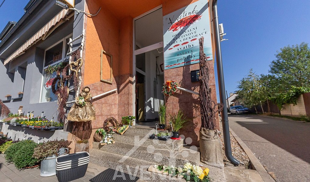 Prodej komerčního objektu (jiného typu) 329 m², Ratíškovice – náhled fotky 20