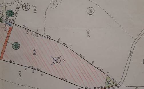 Prodej pole 40 000 m², Prosečné, okres Trutnov