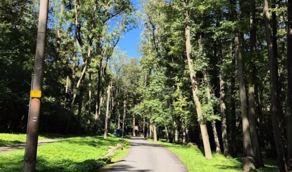 Prodej chaty/chalupy 50 m² s pozemkem 368 m², Lichoceves – náhled fotky 19