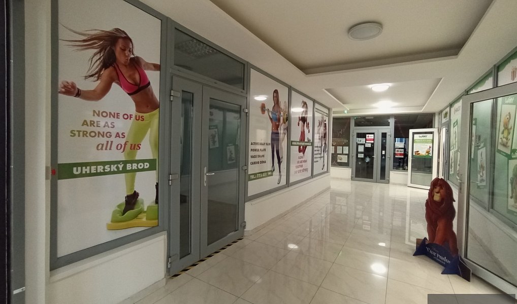 Pronájem obchodních prostor 150 m², Uherský Brod – náhled fotky 4