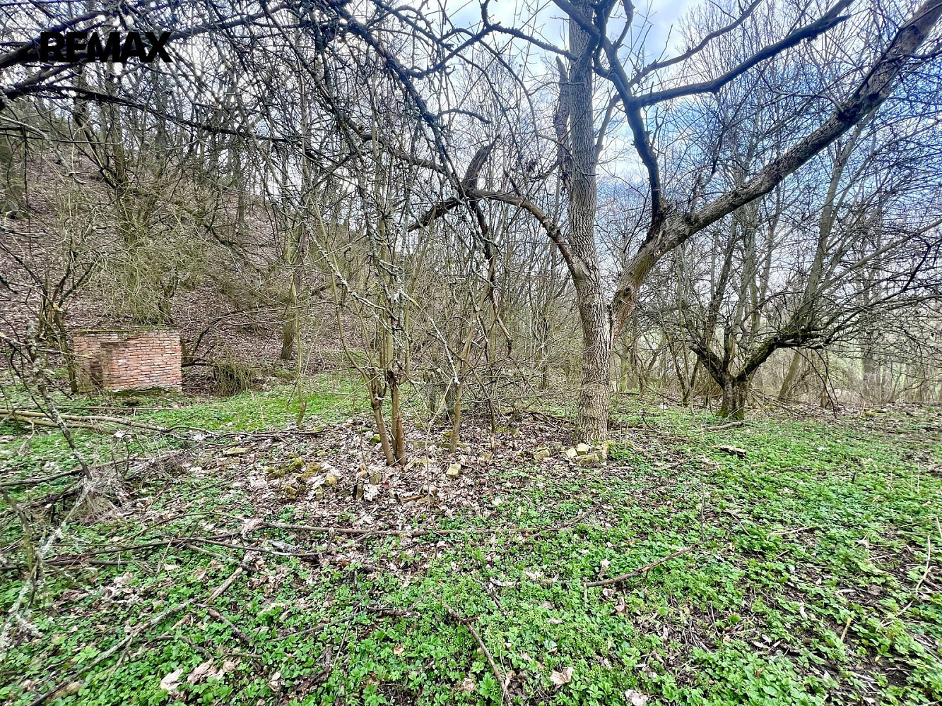 Prodej zahrady 6 042 m² – fotografie 5