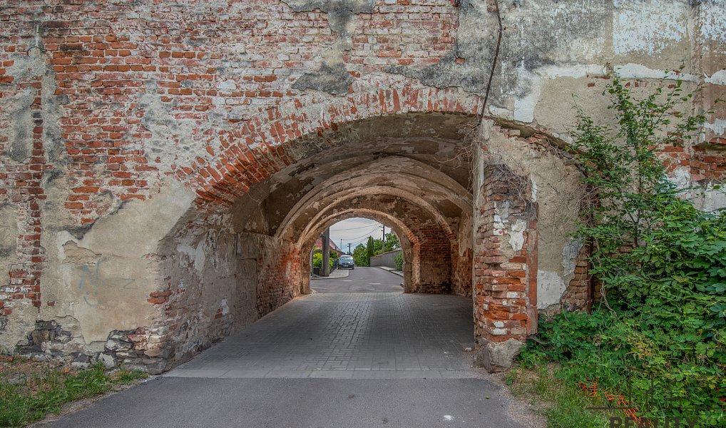 Prodej komerčního objektu (jiného typu) 1 100 m², Tasovice – náhled fotky 3