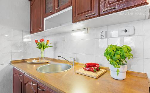 Pronájem bytu 2+kk 42 m², Rabasova, Ústí nad Labem - Severní Terasa