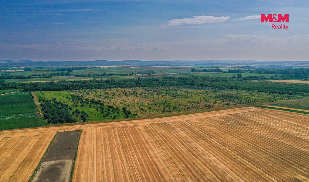Prodej pole 21 280 m², Rakvice – náhled fotky 8