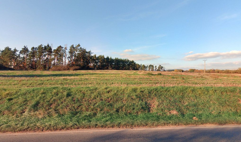 Prodej pole 18 300 m², Velký Bor – náhled fotky 2