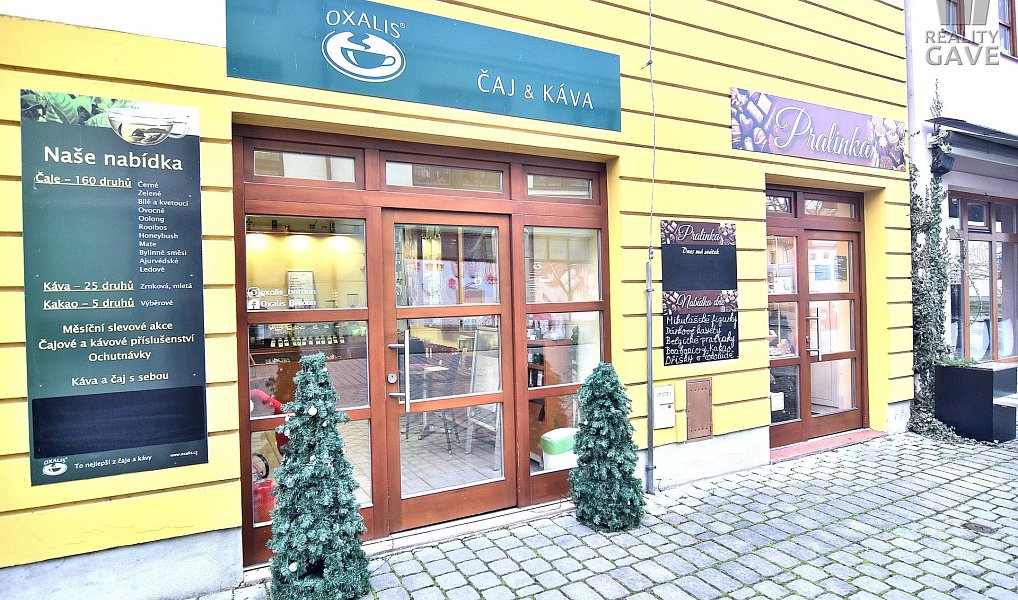Pronájem obchodních prostor 40 m², Beroun – náhled fotky 4