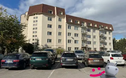Prodej bytu 3+1 66 m²