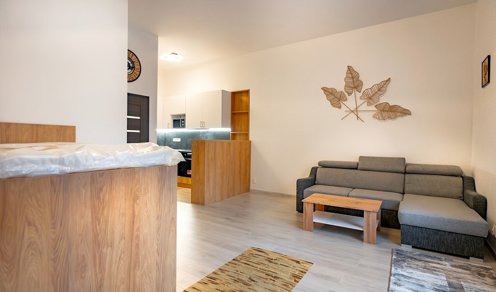Prodej nájemního domu, činžáku 744 m², Ústí nad Labem – náhled fotky 10