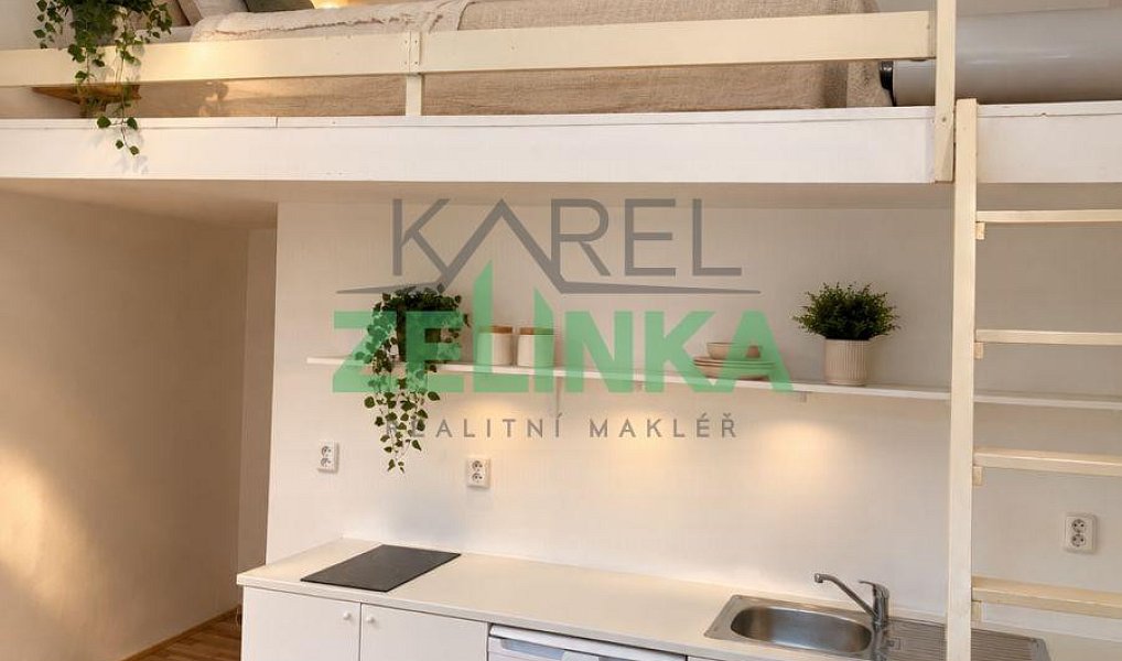 Pronájem bytu 1+kk 20 m², Praha – náhled fotky 2