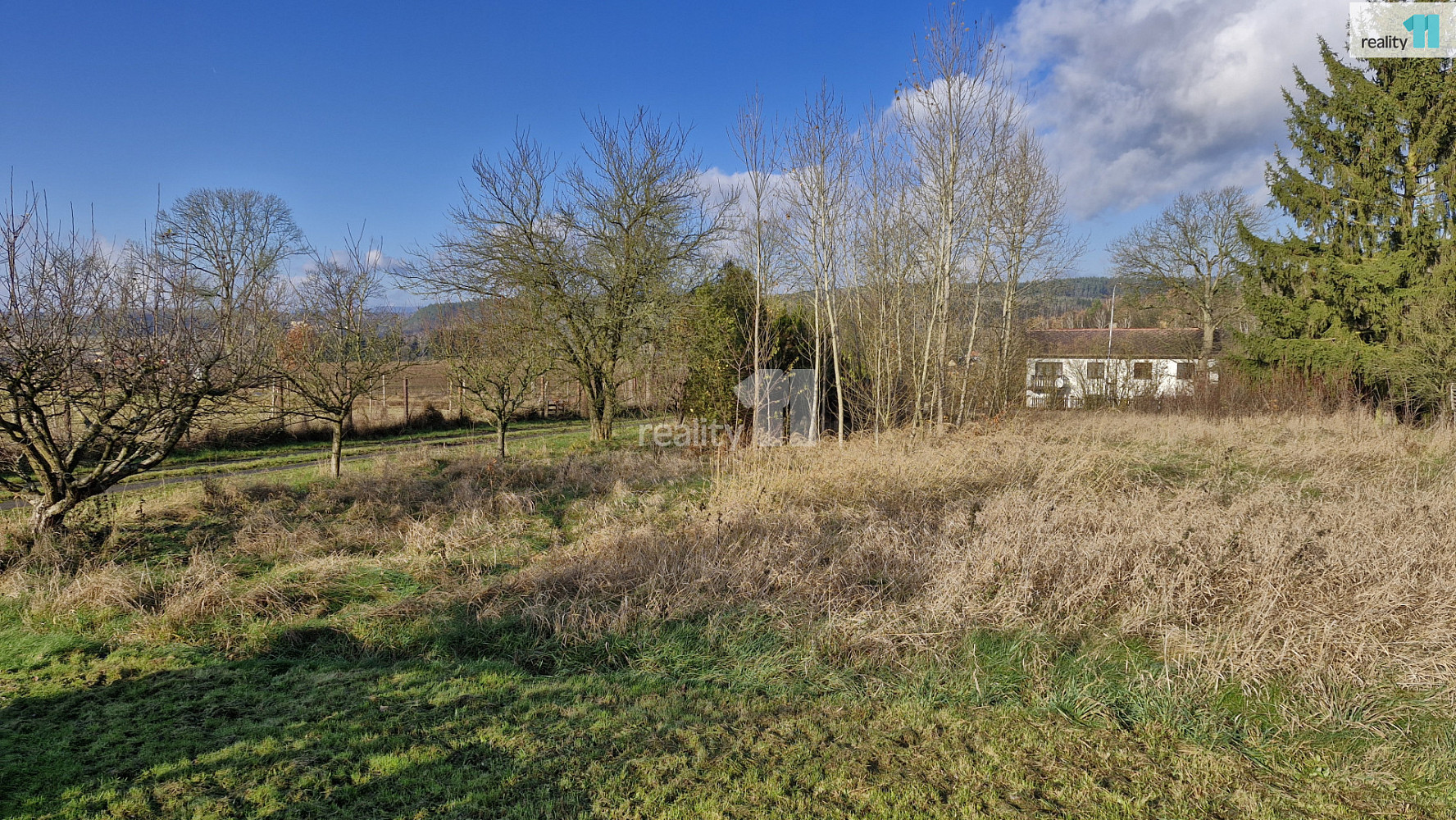 Prodej louky 1 669 m² — photo 2