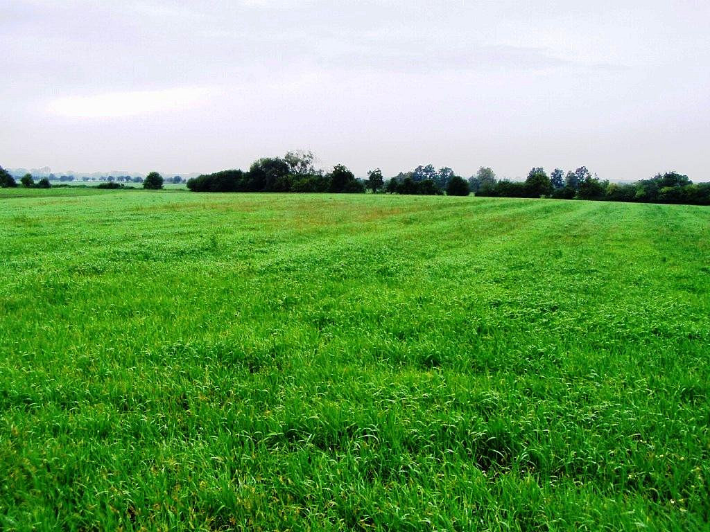 Prodej skladovacích prostor 6 000 m² – fotografie 3