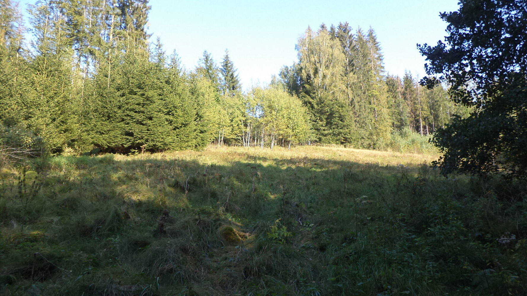 Prodej pole 496 m² – pohled 2