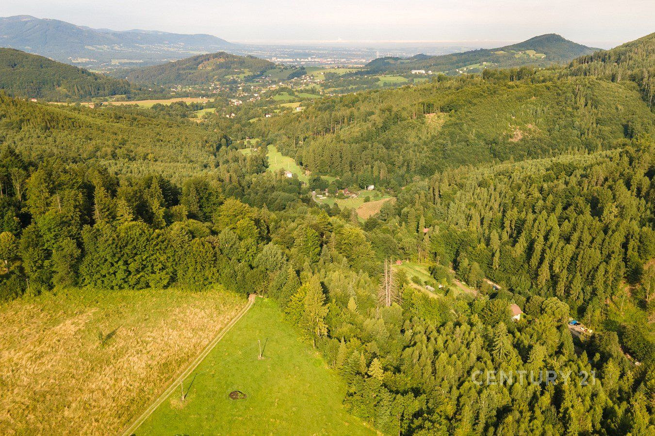 Prodej lesa 20 558 m² – fotografie 4