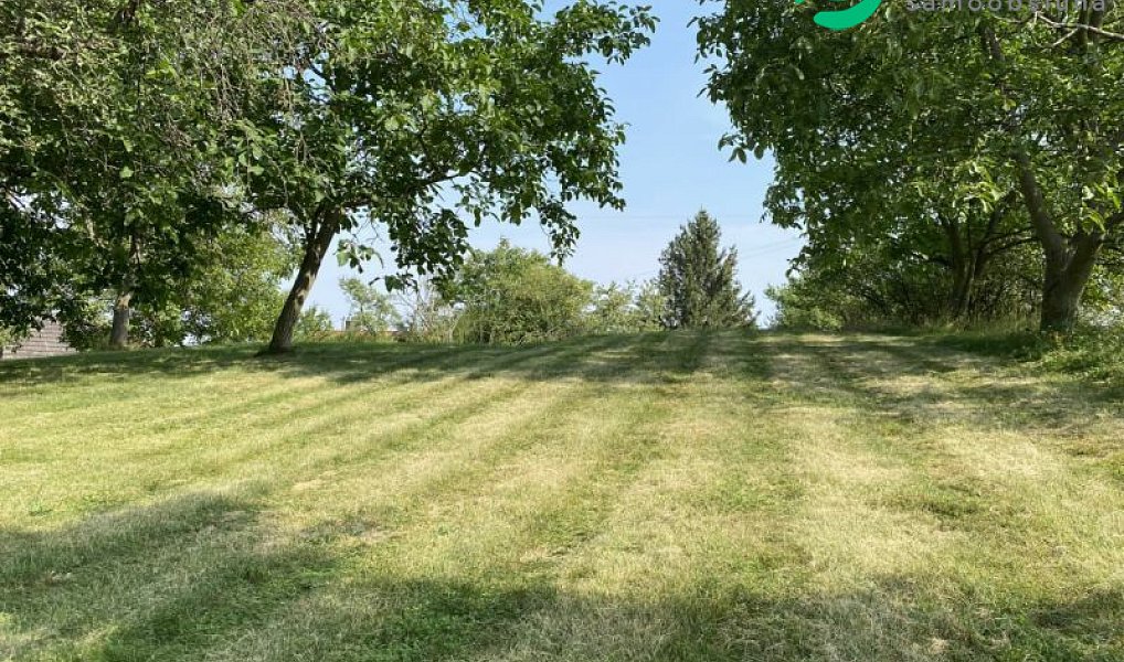 Prodej stavebního pozemku 3 359 m², Petrovice – náhled fotky 3