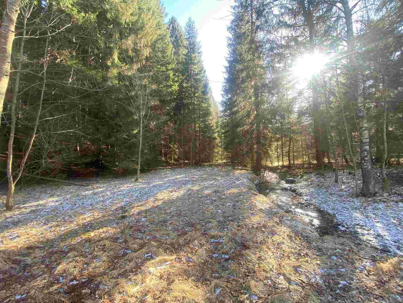 Prodej pole 10 377 m² – fotografie 4