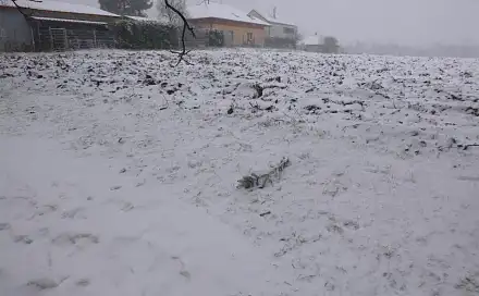 Dražba pole 1 638 m², Škvorec