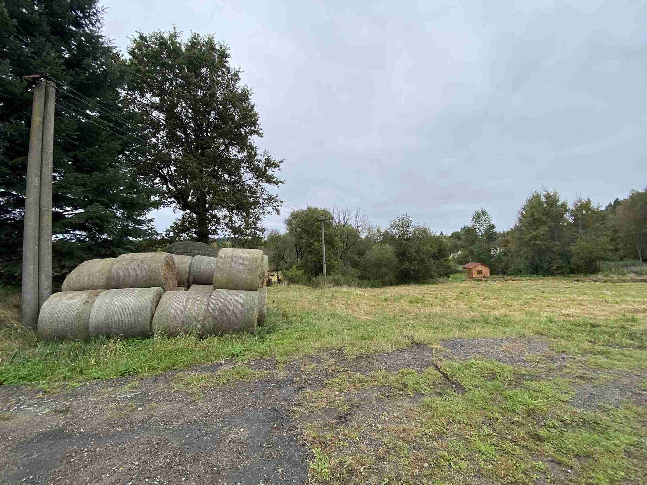 Prodej pozemku 11 798 m² – fotografie 4