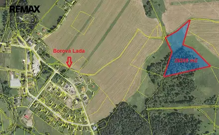 Prodej lesa 29 205 m², Borová Lada, okres Prachatice