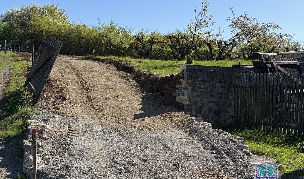 Prodej stavebního pozemku 2 955 m², Valeč – náhled fotky 11