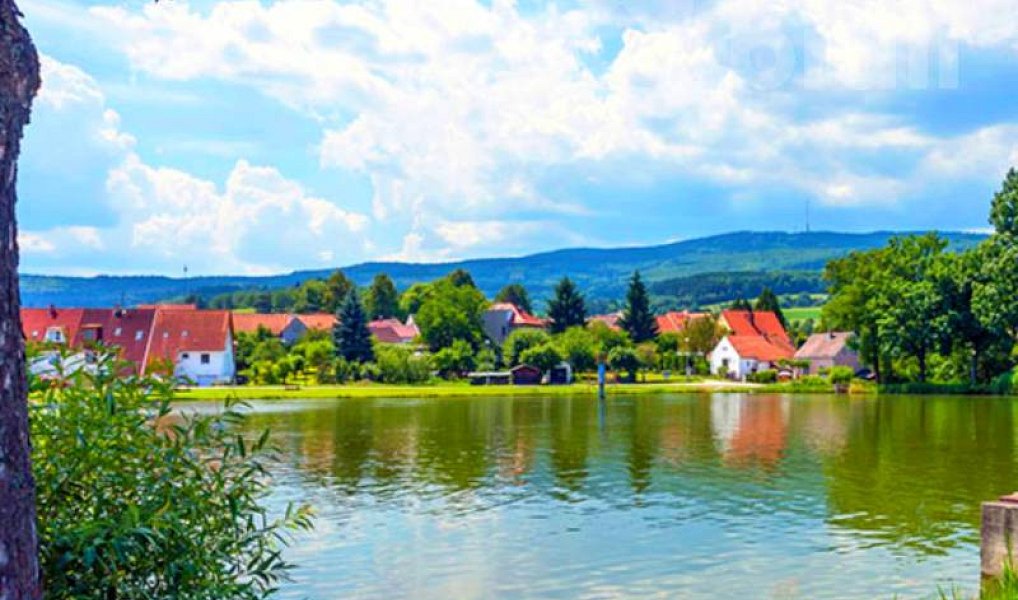 Prodej stavebního pozemku 1 494 m², Holubov – náhled fotky 11