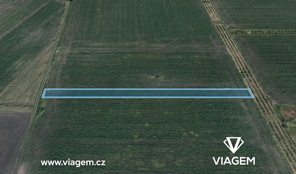 Prodej pole 2 600 m², Velké Bílovice – náhled fotky 2