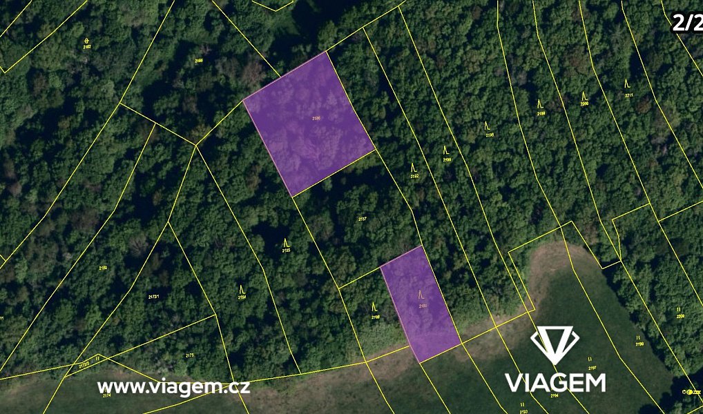 Prodej lesa 4 861 m², Kelníky – náhled fotky 8